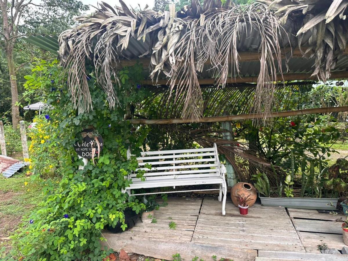 River Side Lodge Horquetas Bagian luar foto
